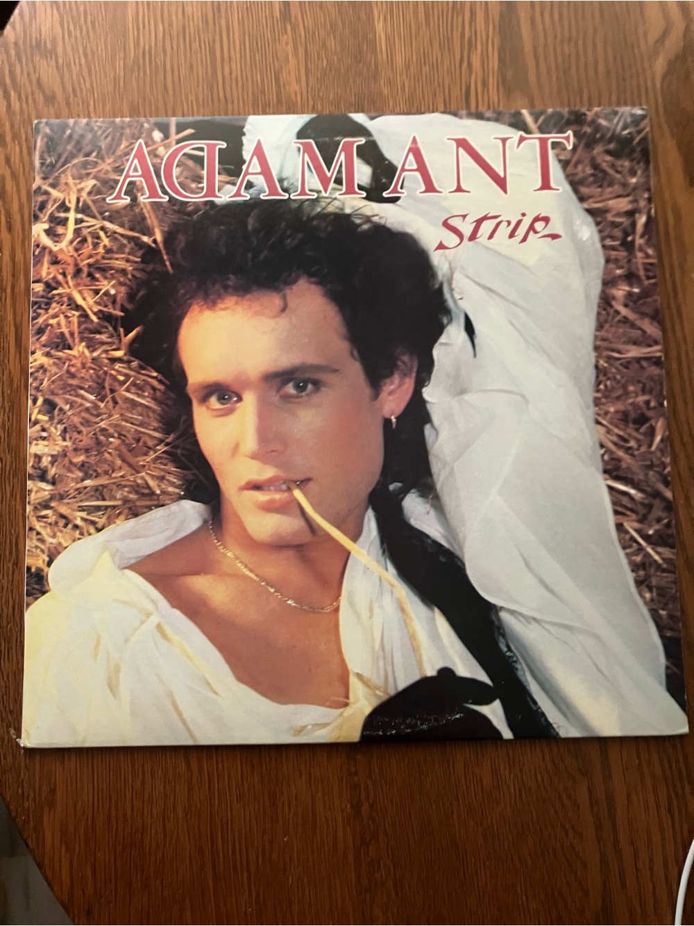 1983 Adam Ant “Strip” Vinyl Album